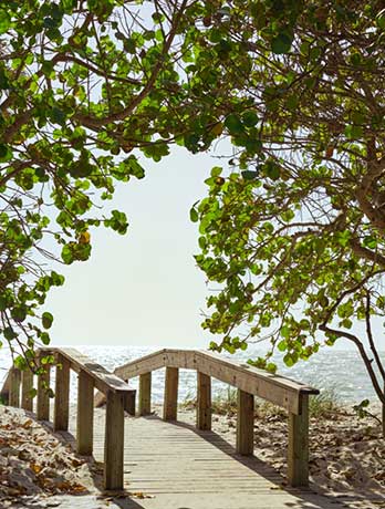 Naples Florida Boardwalk